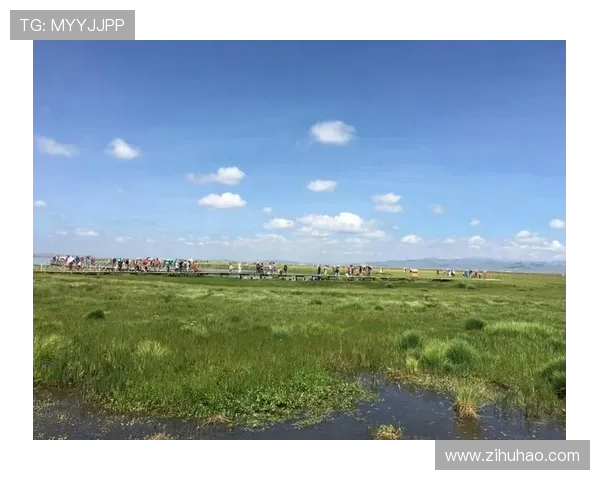 天涯论坛旅游休闲：一场关于自由与探索的精神漫游